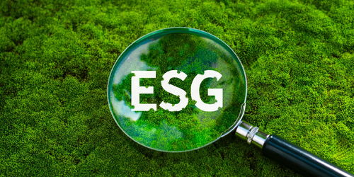 上半年我國生態(tài)環(huán)境質(zhì)量持續(xù)改善，環(huán)保材料市場迎來發(fā)展新機(jī)遇