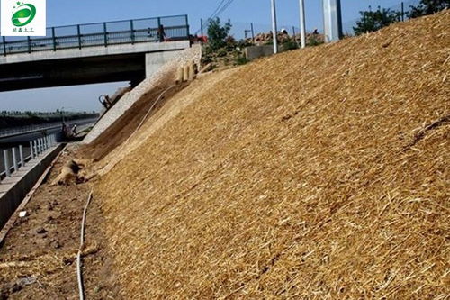 白銀市延鑫直銷 生態(tài)毯護(hù)坡發(fā)貨快，廠家直銷助力綠色建設(shè)