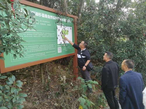 貴陽市生態(tài)環(huán)境局赴花溪區(qū)開展“綠盾”自然保護(hù)地督導(dǎo)工作，并考察生態(tài)環(huán)境材料銷售市場