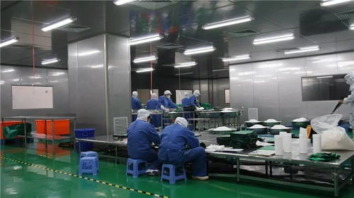食品工廠自動(dòng)化的設(shè)計(jì)與自動(dòng)化設(shè)備安裝全流程解析